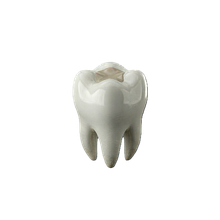 Dental fillings in Dodge Center MN